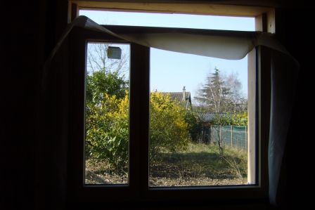 P1050636.JPG